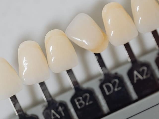 Teeth Names and Functions